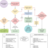 Flowchart.png