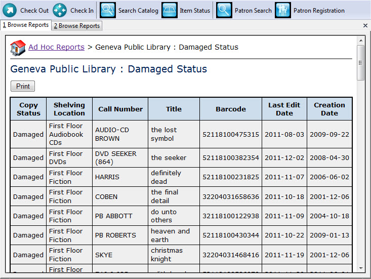 StatusDamagedReport_Example.jpg